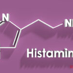 Histamin İçeren Gıdalar Hangileridir?