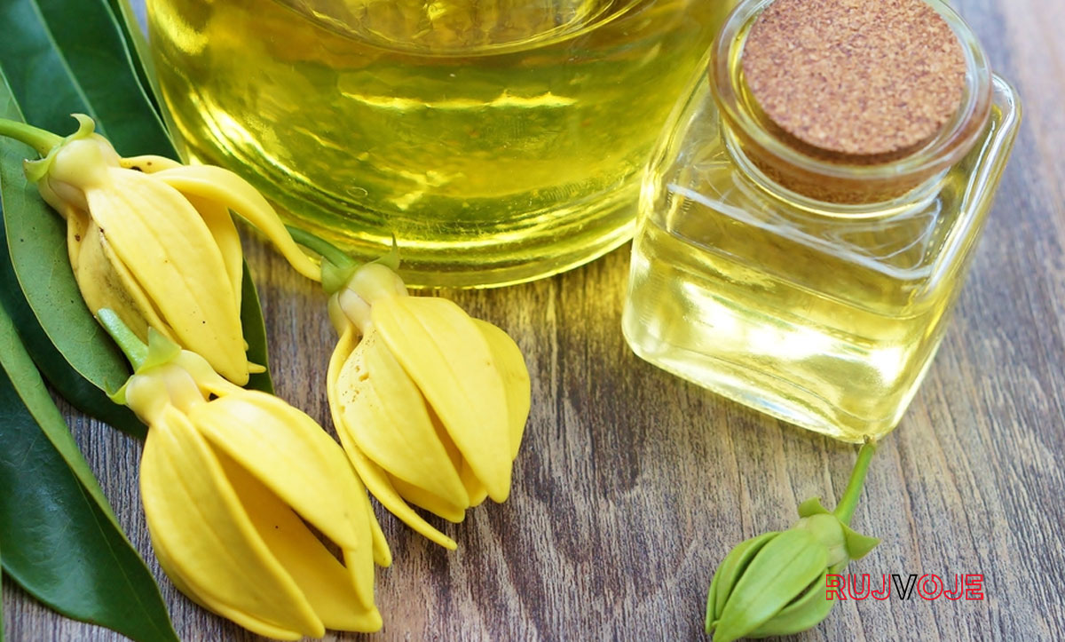 Ylang Ylang Yağı Nedir? Cinsellikte Nasıl Kullanılır?